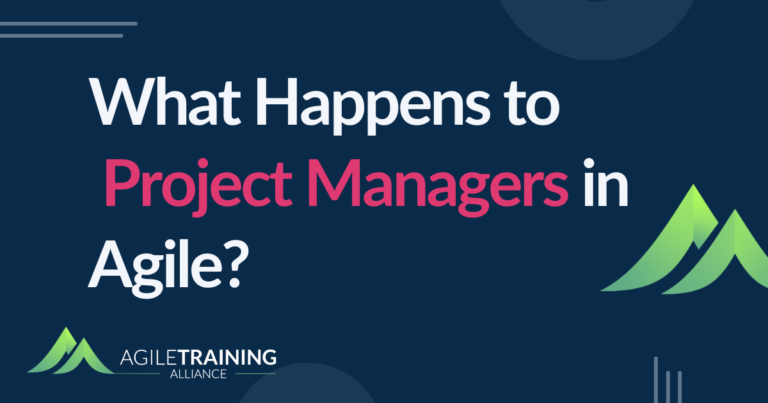 Read more about the article What Happens to Project Managers in Agile?